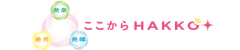 ここからHAKKO｜食と健康を整える専門家｜発酵・薬膳・グルテンフリー